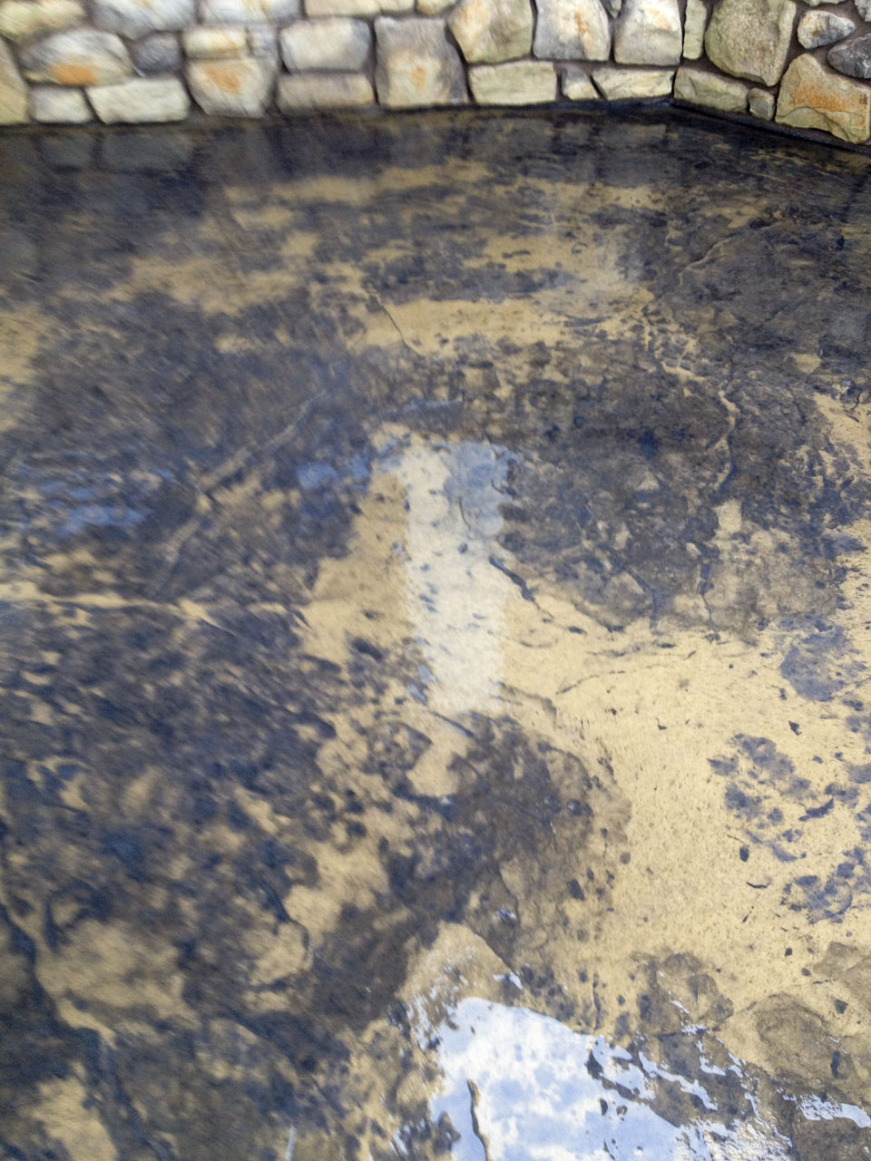 Stamped & Exposed Steps